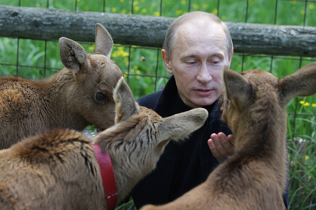 premier.gov.ru, CC BY 4.0 via Wikimedia Commons